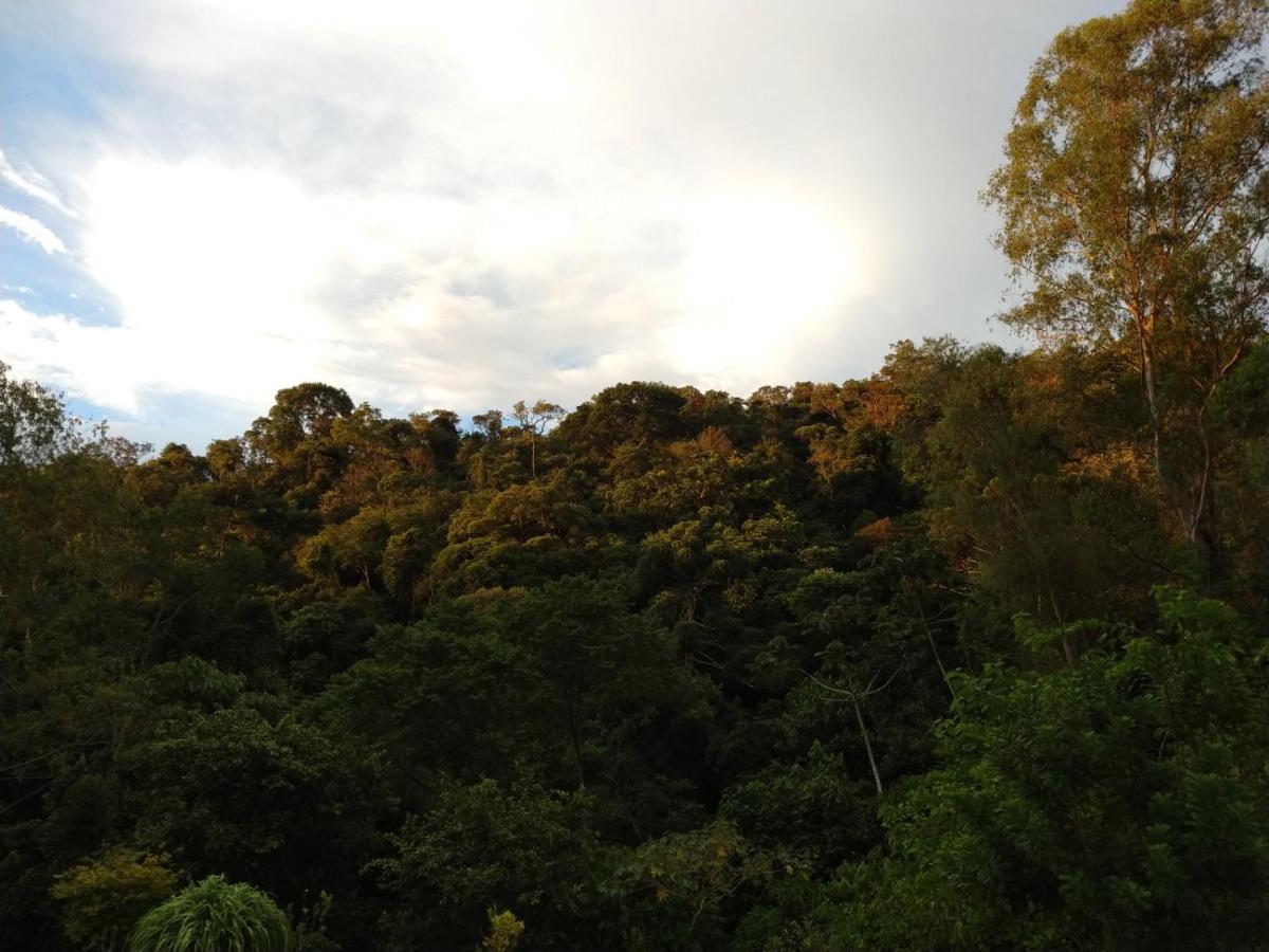 Pousada Reserva Nativida Santo Antônio do Pinhal Kültér fotó